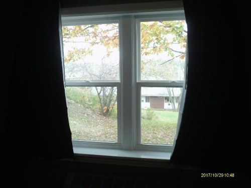 Pine Tree Inn image 14