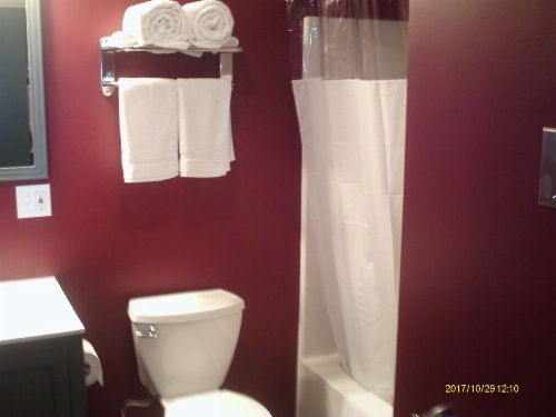 Pine Tree Inn image 20
