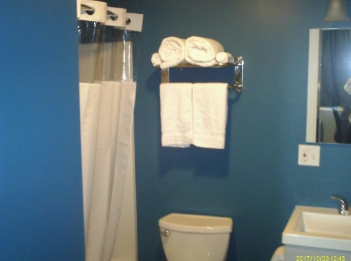 Pine Tree Inn image 26
