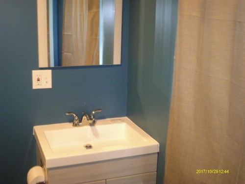 Pine Tree Inn image 28